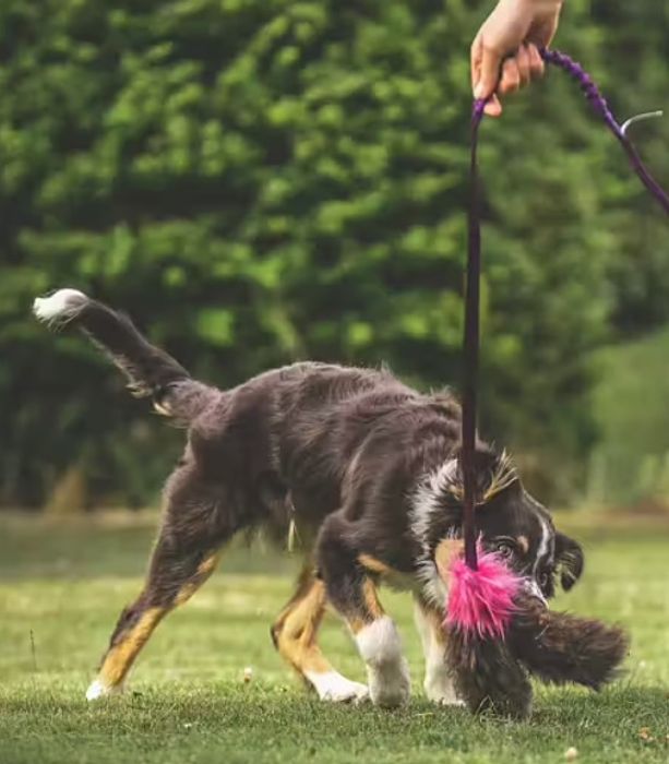 Doggie-Zen Blekksprut med sauepels og langt håndtak