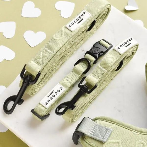 Hovedbilde Cocopup Sage Heart kobbel