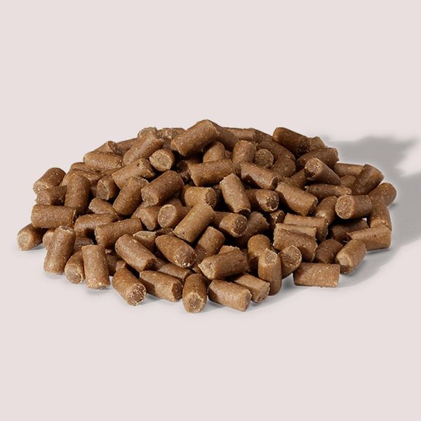 Hovedbilde Oliver's Everyday Training Bites Lamb