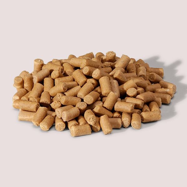 Hovedbilde Oliver's Everyday Training Bites Beef